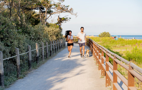 The Mouth of the Tagliamento